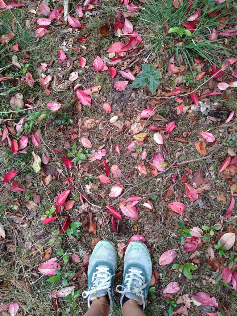 Rode blaadjes schoenen